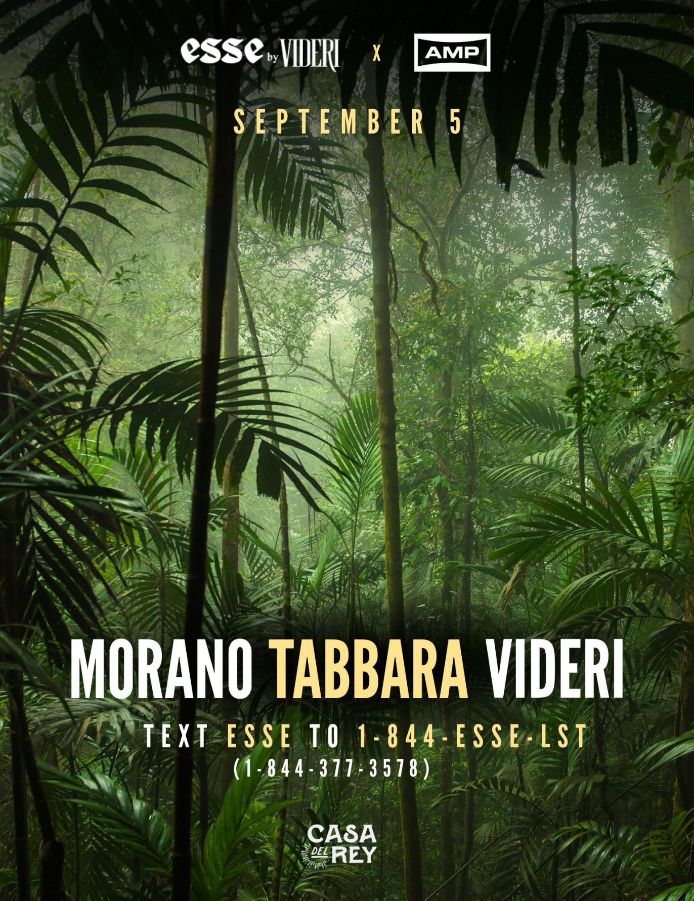 ESSE by Videri